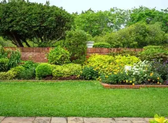 landscaping services Cairo